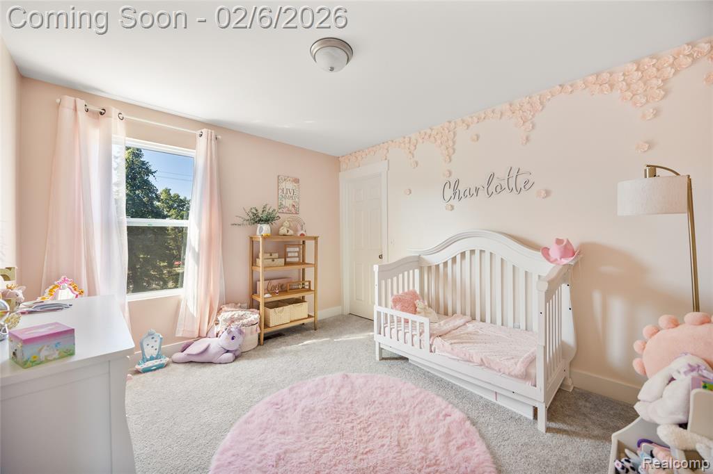 32202 Bradford Street, New Haven, MI 48048 — Photo 16