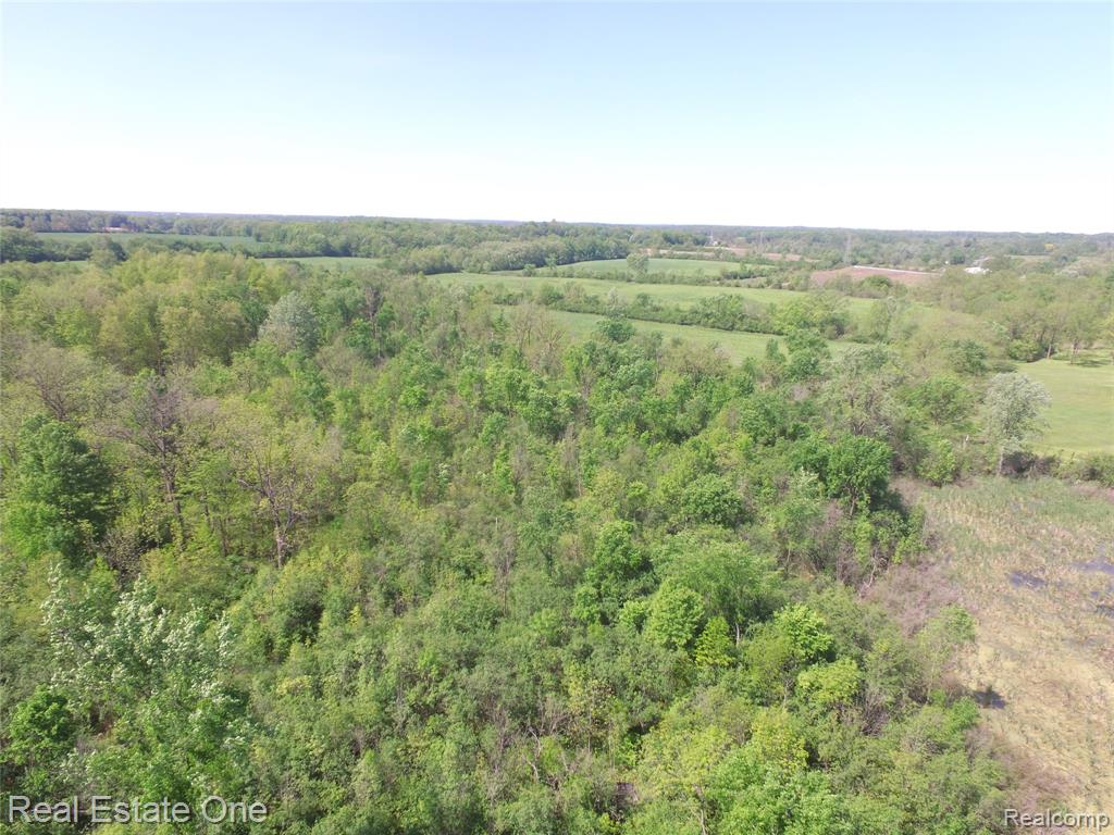 2983 N Harris Road, Ypsilanti, MI 48198 — Photo 6