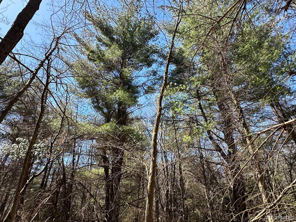 4.23 Acres VL - KNIGHTS BRIDGE Road, Leonard, MI 48367 — Photo 22