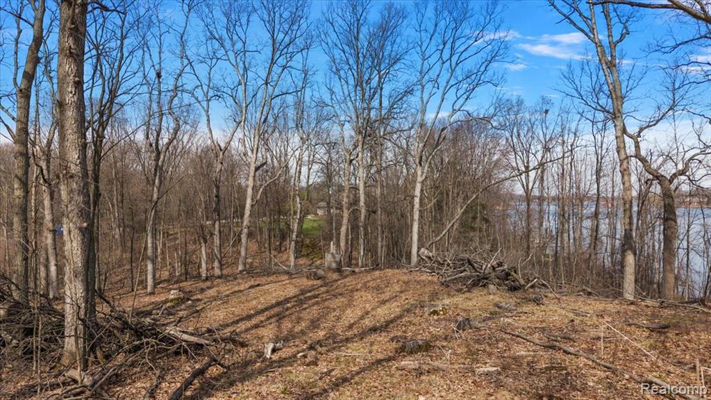 10515 Horton Road, Goodrich Vlg, MI — Photo 15