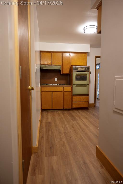4191 Allen Street, Inkster, MI 48141 — Photo 9