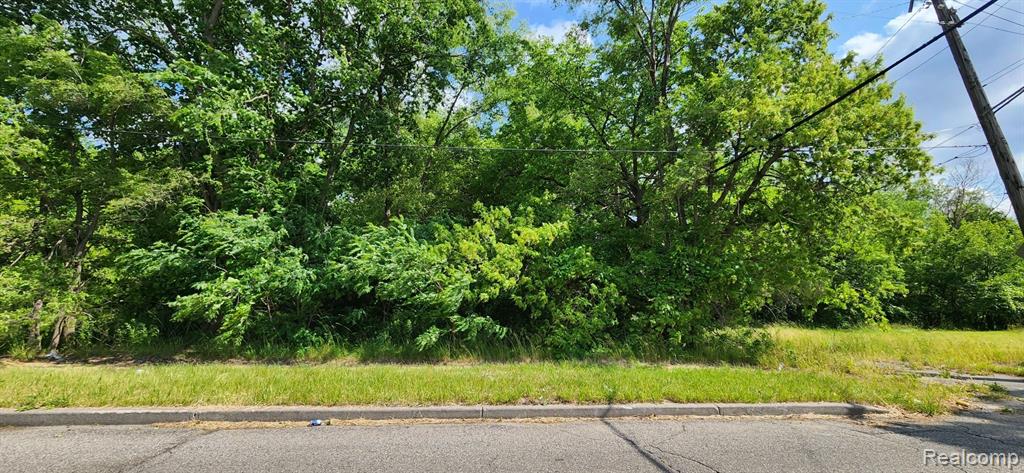 4257 MOUNT ELLIOTT Street, Detroit, MI 48207 — Photo 2