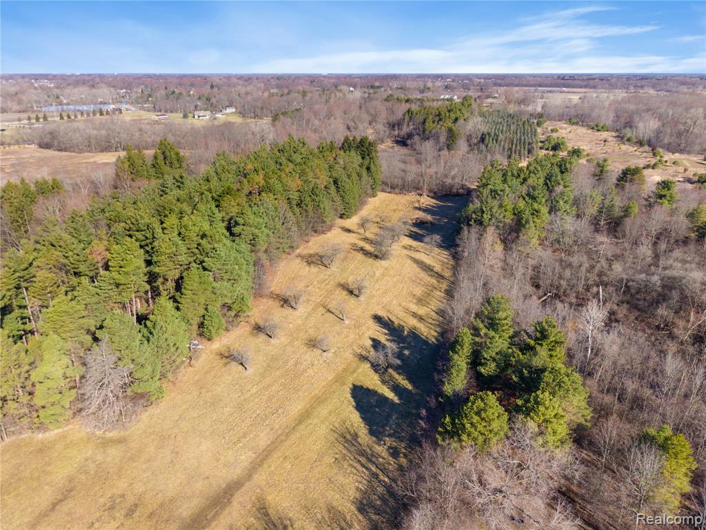 7163 Burpee Road, Grand Blanc, MI 48439 — Photo 50