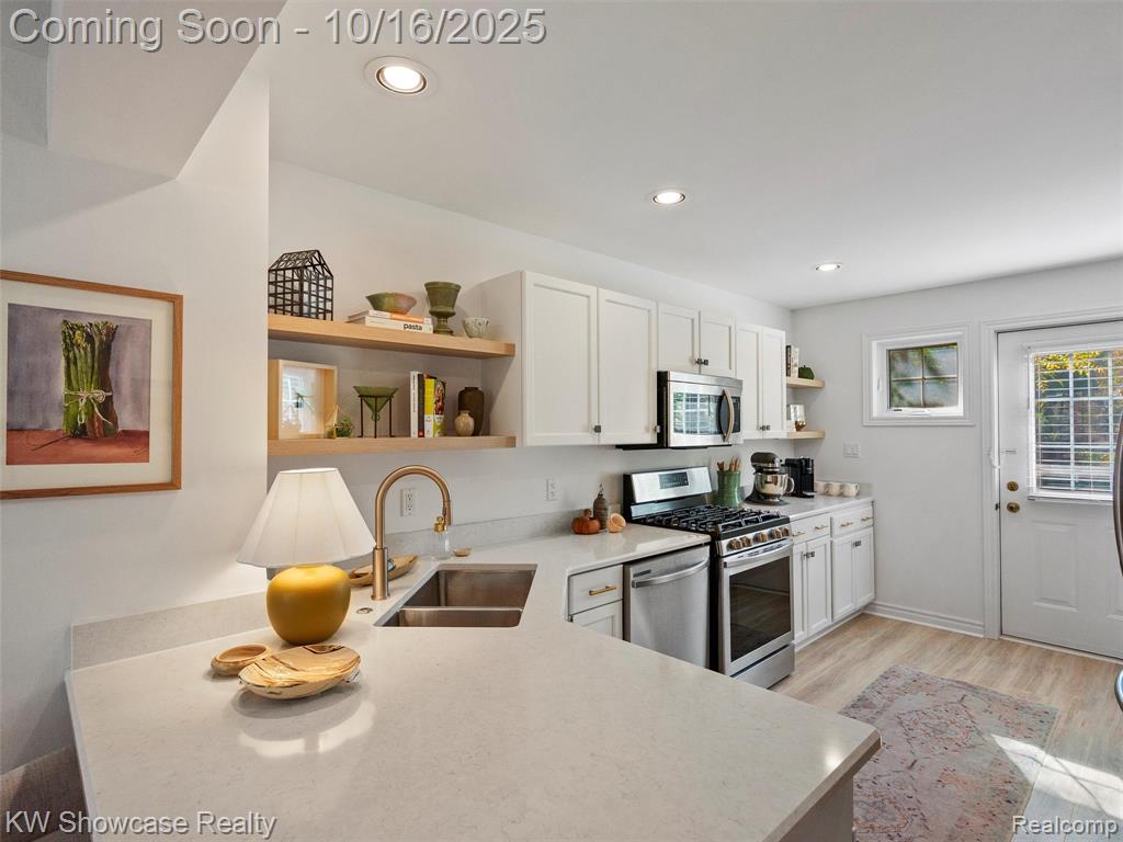 1053 Bluestem Lane, Ann Arbor, MI 48103 — Photo 11