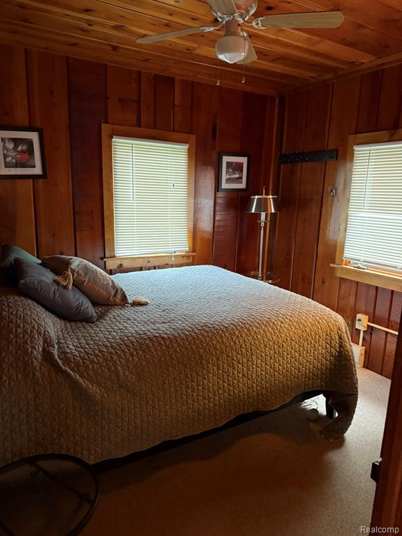 4348 N Shrew Road, Lincoln, MI 48742 — Photo 15