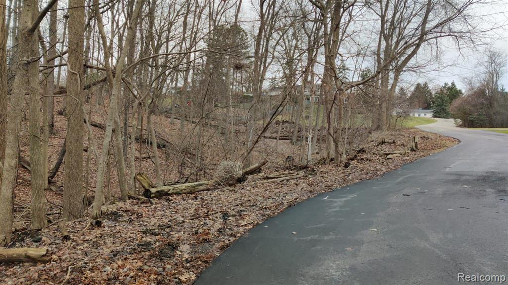 Lot 149 Breer Court, Bloomfield Hills, MI 48302 — Photo 4