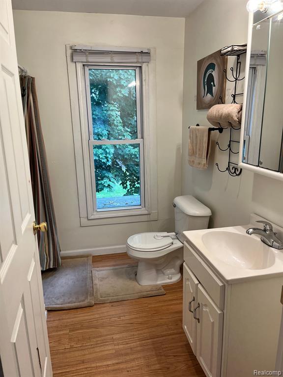 425 SCHOOLHOUSE Street, Ortonville, MI 48462 — Photo 51