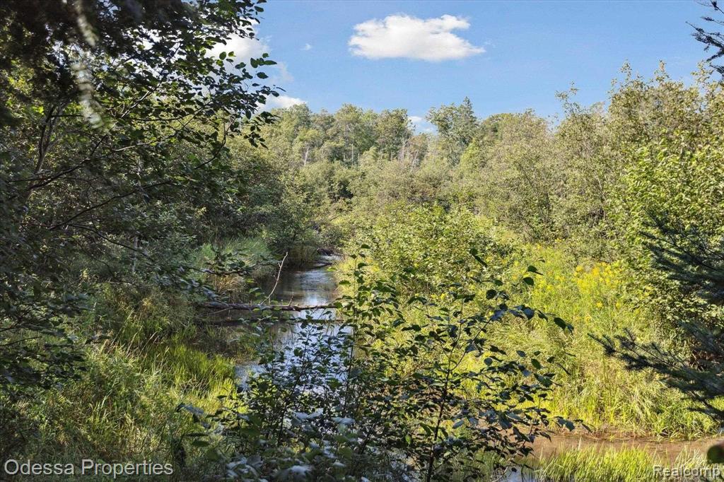 7440 Miller Rd, Whittemore, MI 48770 — Photo 42