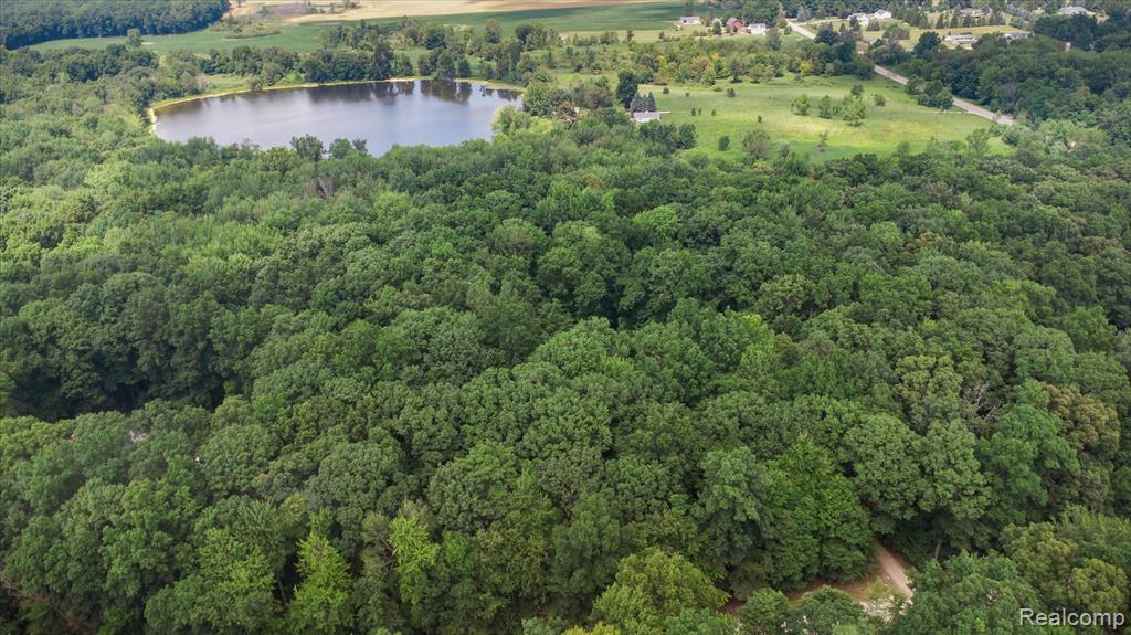 5849 Whispering Oaks Drive, Howell, MI 48855 — Photo 46