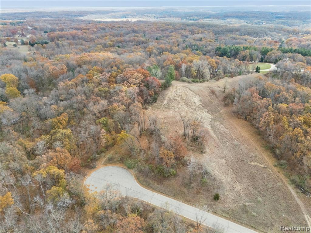 9410 Grand Summit Drive, Fenton, MI 48430 — Photo 8