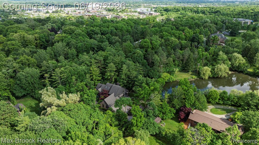 40360 Harmony Lane, Northville, MI 48167 — Photo 93