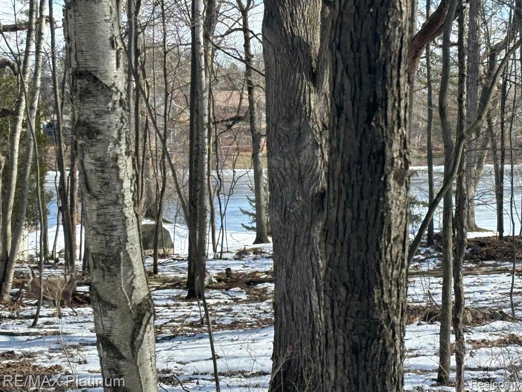 V/L TIPSICO LAKE ROAD, Holly, MI 48442 — Photo 11