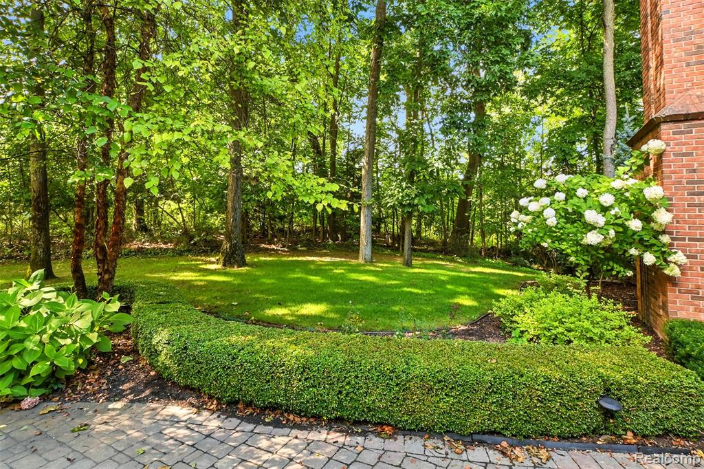 6228 Windemere Point, Brighton, MI 48116 — Photo 47