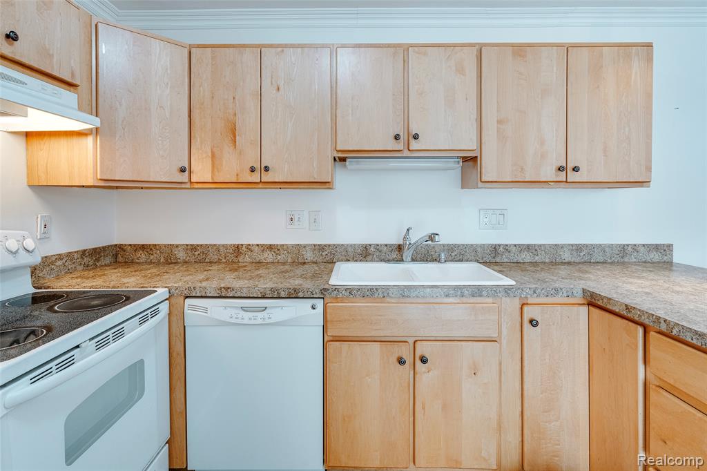 39615 Village Wood Lane, Novi, MI — Photo 18