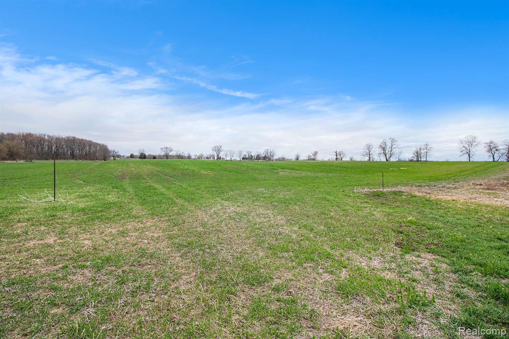VL Parcel 2 Mohrle Road, Fowlerville, MI 48836 — Photo 13