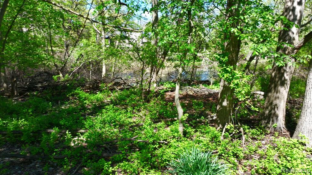 4502 Forest Edge Lane, West Bloomfield, MI 48323 — Photo 78