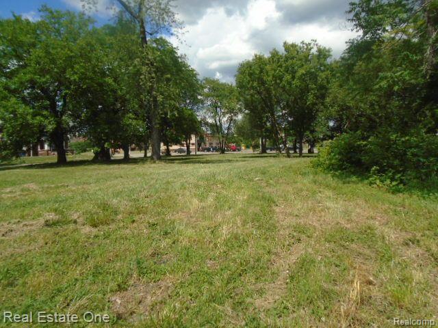 35 EDISON Street, Detroit, MI 48202 — Photo 17