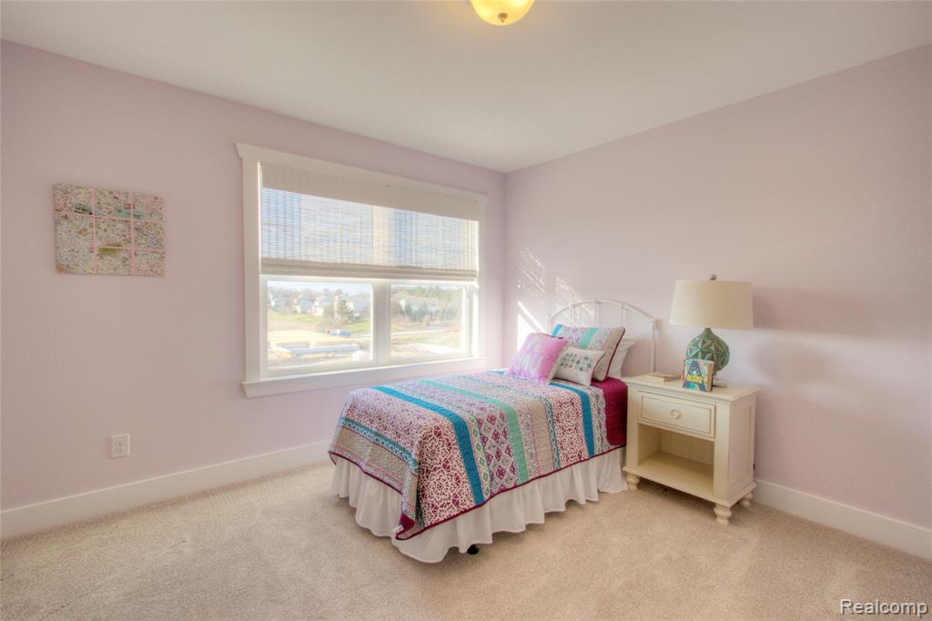 584 ROUND ROCK, Howell, MI 48843 — Photo 14