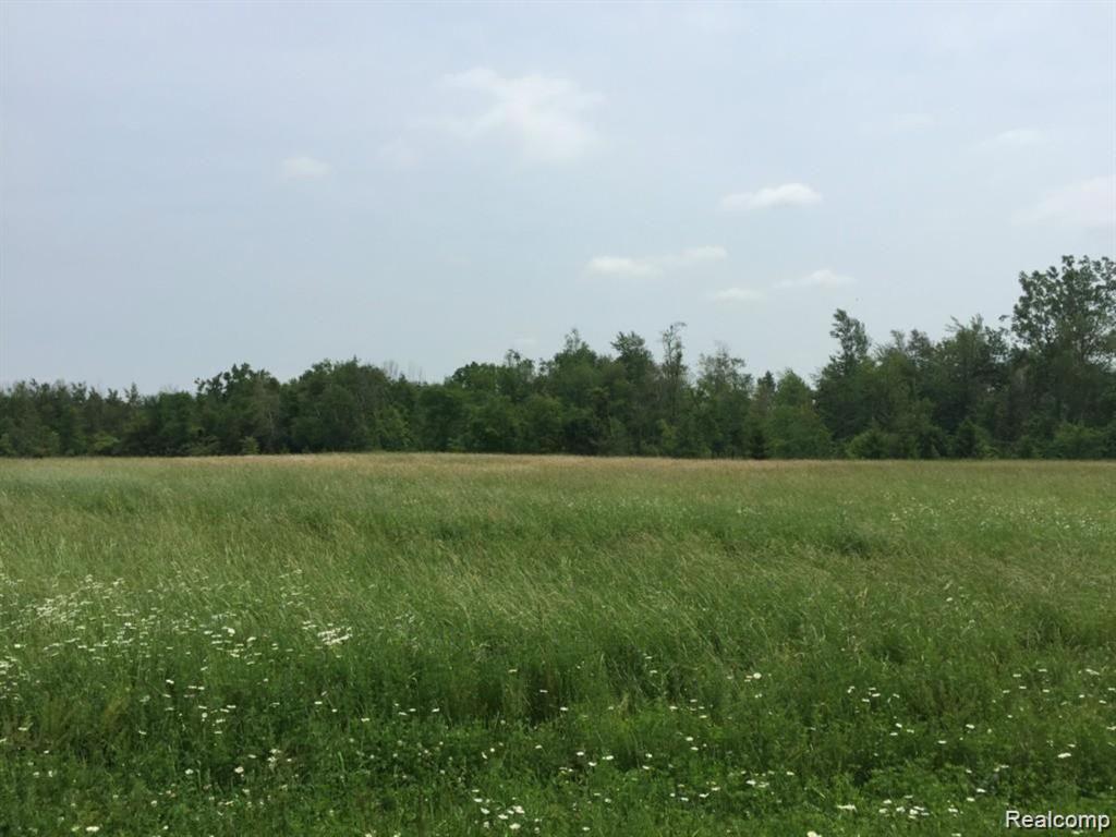 6350 Wolf Road, Brown, MI 48416 — Photo 24
