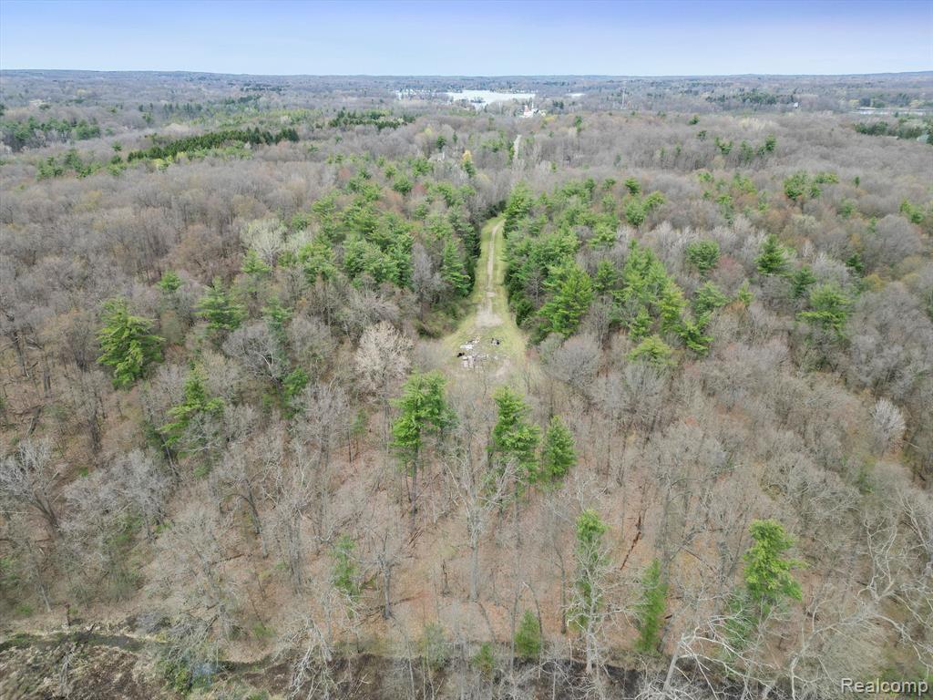 4.23 Acres VL - KNIGHTS BRIDGE Road, Leonard, MI 48367 — Photo 16