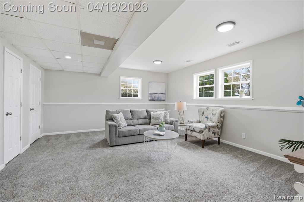 118 Gale Street, Morrice, MI 48857 — Photo 21