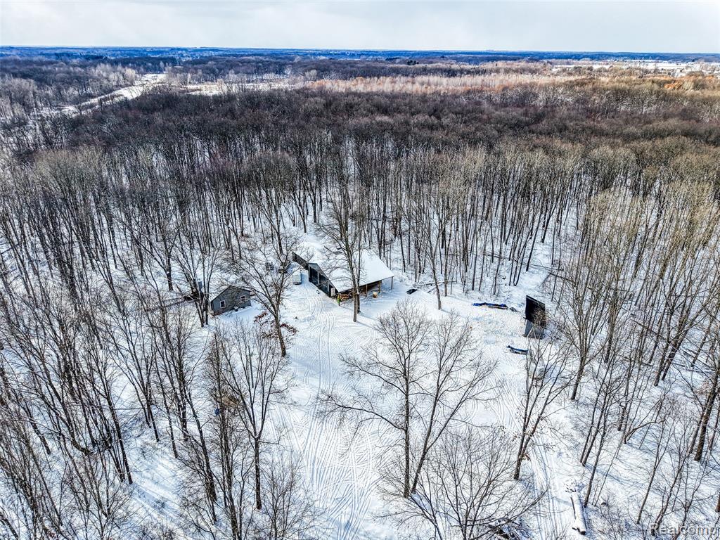 3316 Haynes Road, Leslie, MI 49251 — Photo 16
