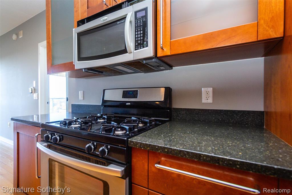 432 S Washington Avenue, 1007, Royal Oak, MI 48067 — Photo 9