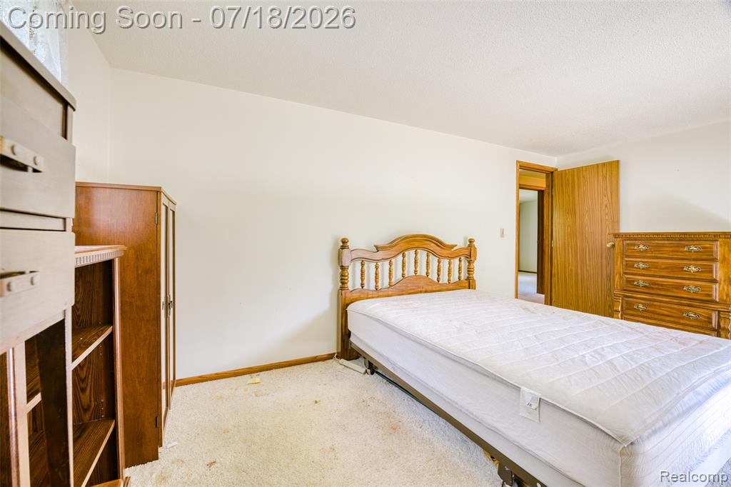 9550 Kies Road, Manchester, MI 48158 — Photo 23