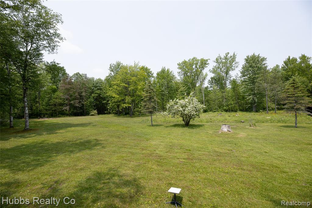 3960 Hanes Road, Vassar, MI 48768 — Photo 51
