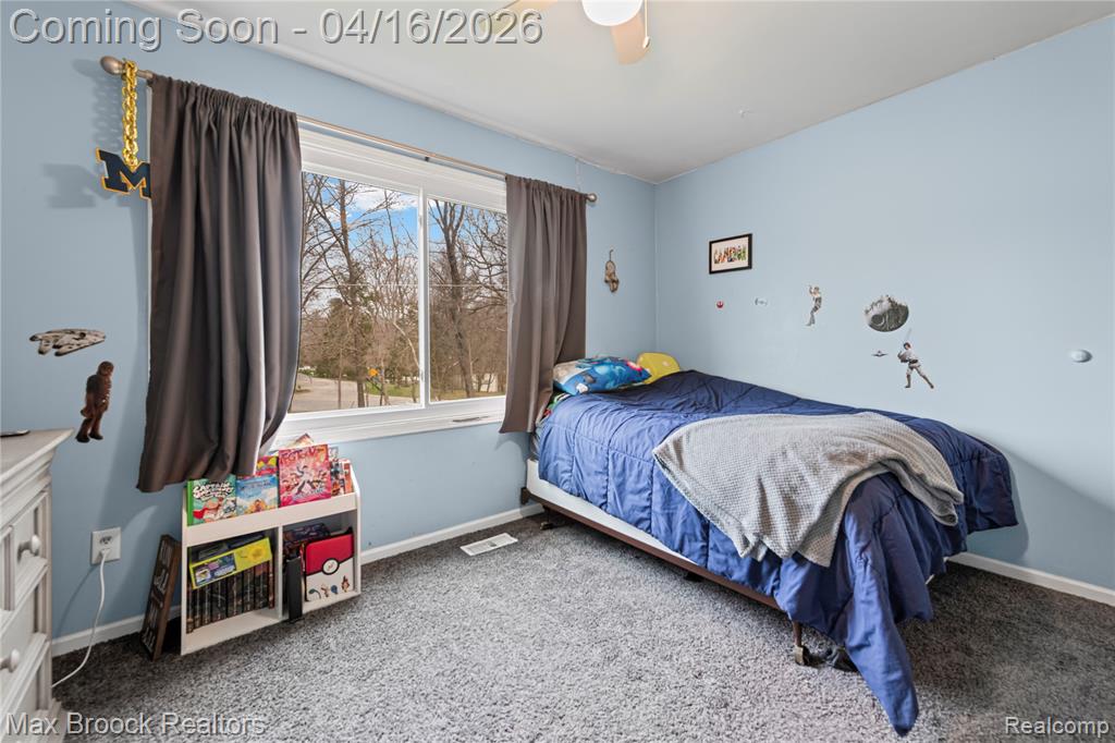 817 Mower Road, Pinckney, MI 48169 — Photo 16