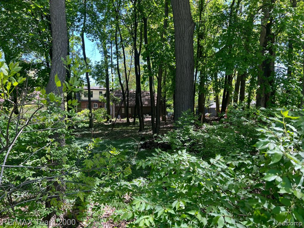425 S TELEGRAPH Road, Dearborn, MI 48124 — Photo 5