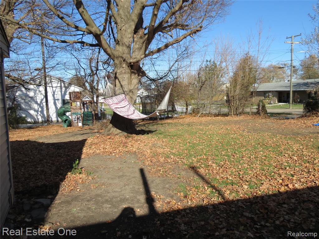 225 South Street, Fowlerville, MI 48836 — Photo 6