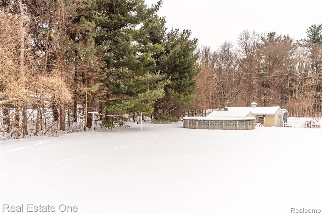 10120 Hyne Road, Brighton, MI 48114 — Photo 4