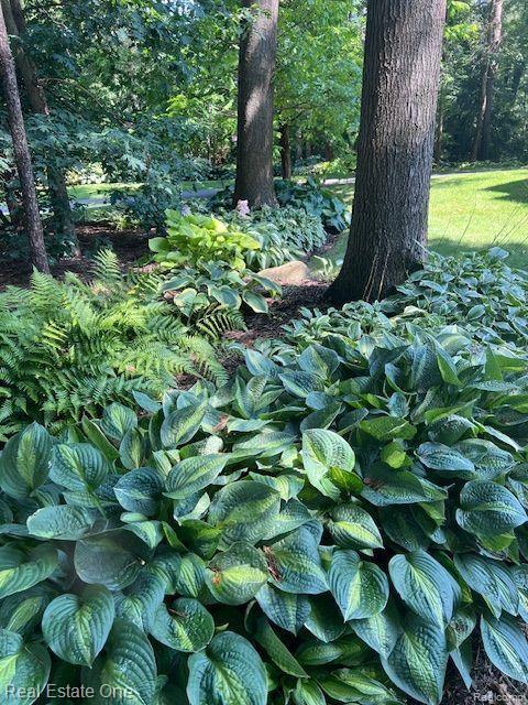 9316 LAKEBLUFF Drive, Clarkston, MI 48348 — Photo 83