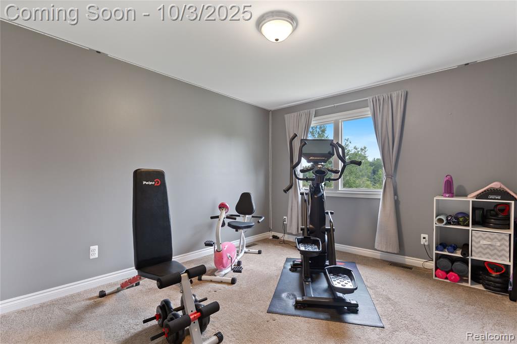 68242 Lake Angela Pointe, Richmond, MI 48062 — Photo 23