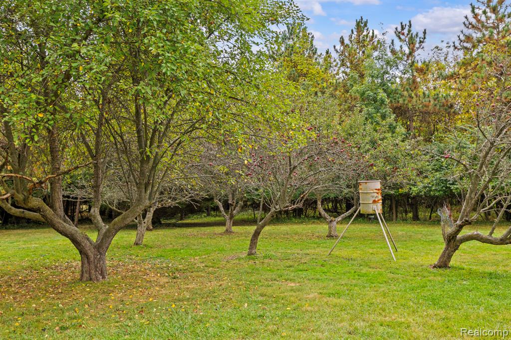 6060 Vreeland Road, Superior, MI 48198 — Photo 38