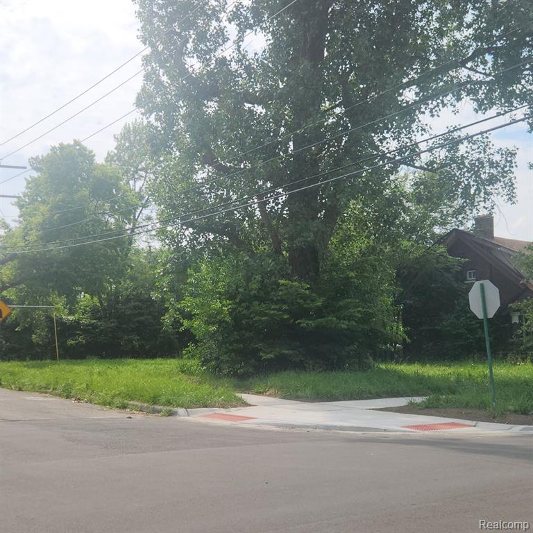503 LAKEWOOD Street, Detroit, MI 48215 — Photo 3
