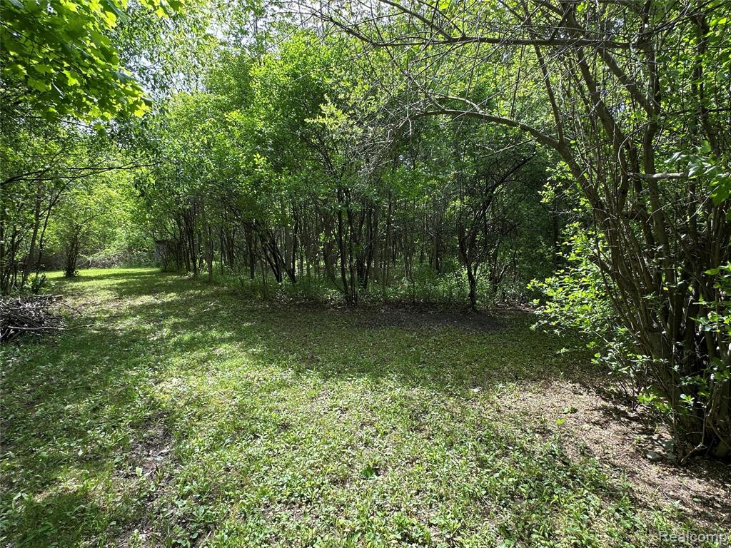 6161 River Road, Flushing, MI 48433 — Photo 27