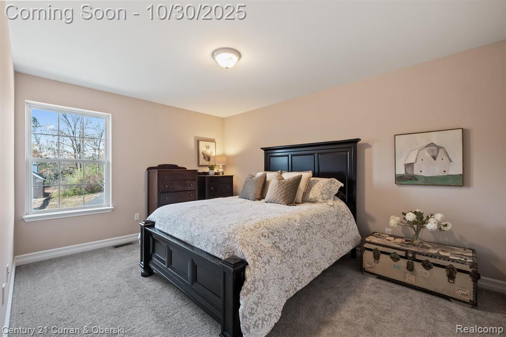 50499 Cottonwood Court, Plymouth, MI 48170 — Photo 26