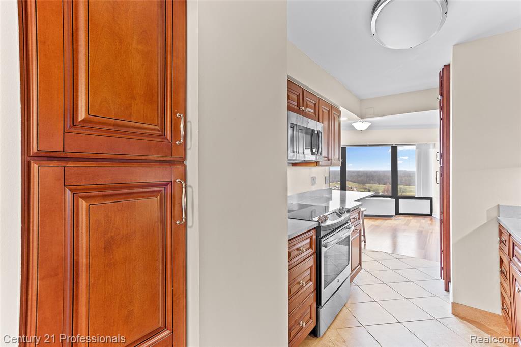 5000 Town Center, 1704, Southfield, MI 48075 — Photo 19