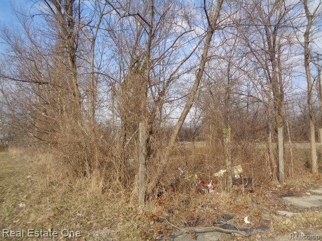 4293 16TH Street, Detroit, MI 48208 — Photo 2
