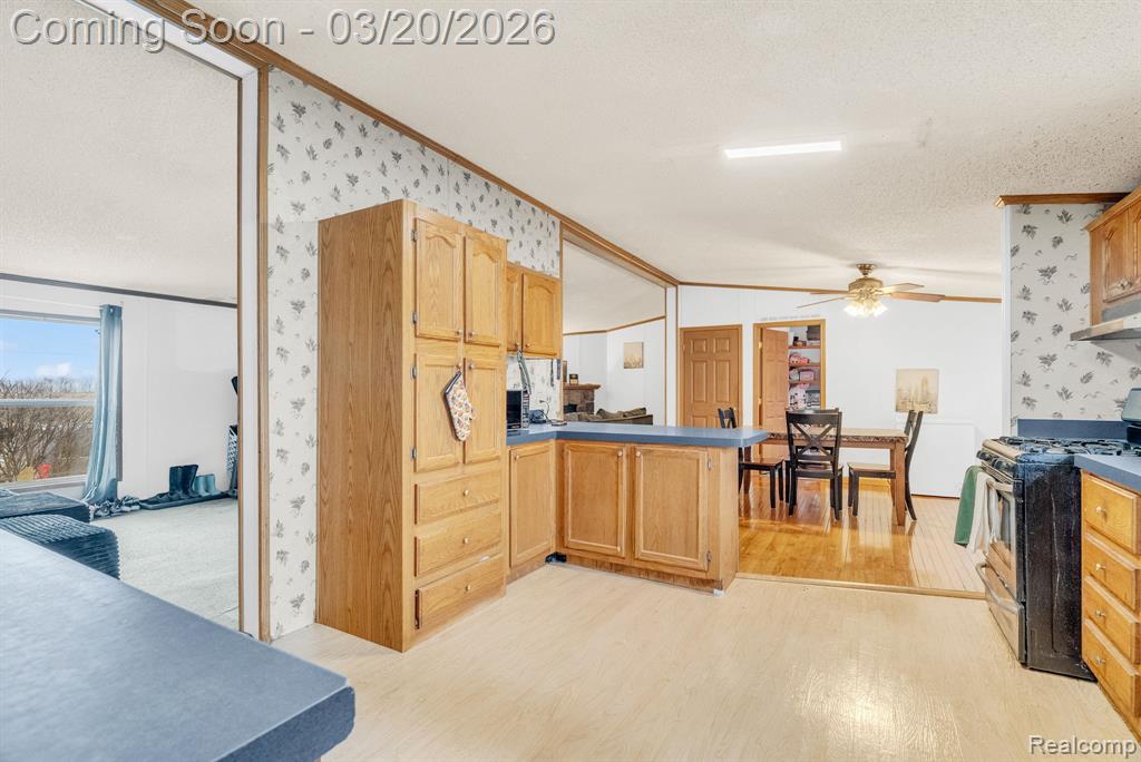 7151 Martin Road, Imlay City, MI 48444 — Photo 6