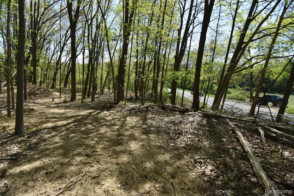 10146 ISLAND LAKE Road, Dexter, MI 48130 — Photo 4