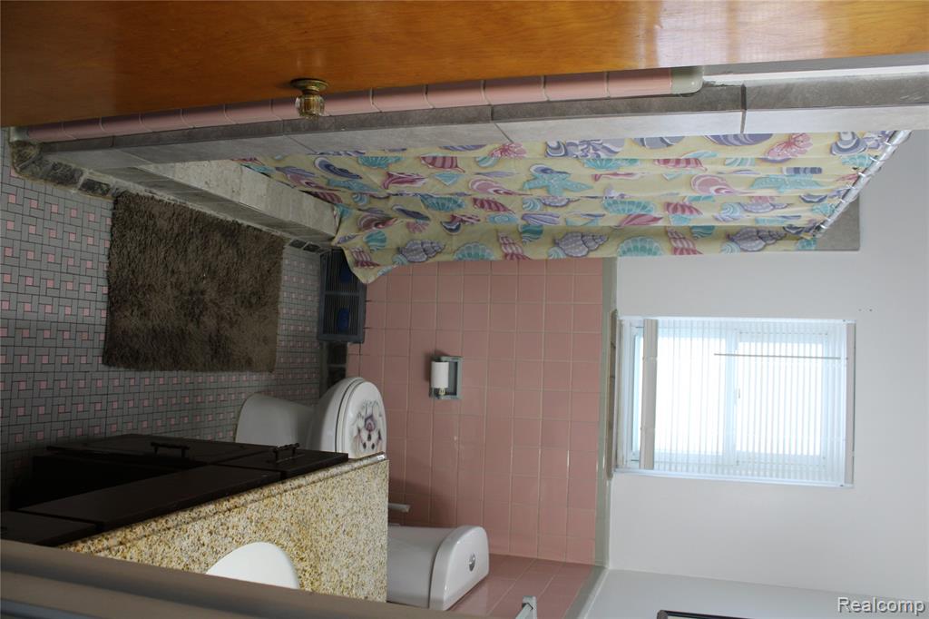 1627 McAlpine Drive, Mount Morris, MI 48458 — Photo 27