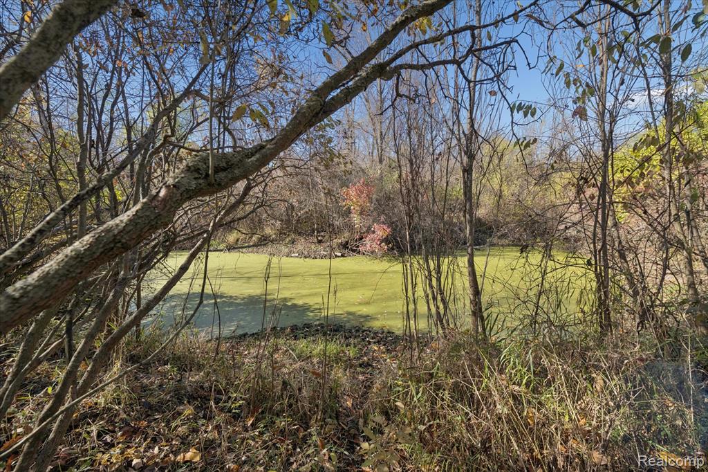 4842 Preston Road, Howell, MI 48855 — Photo 56