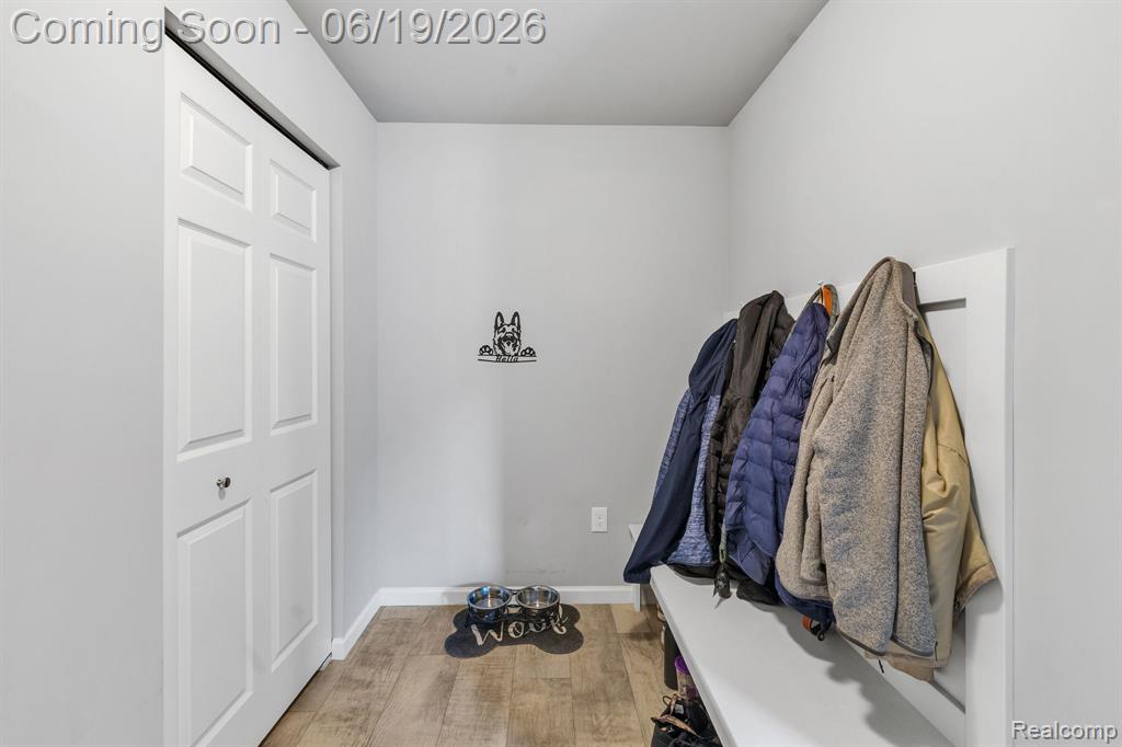 2907 Jordan River Drive, Fowlerville, MI 48836 — Photo 29