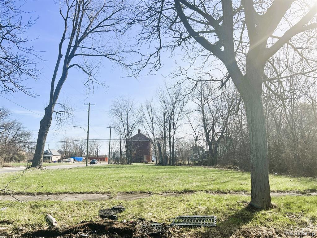 5720 WABASH Street, Detroit, MI 48208 — Photo 4