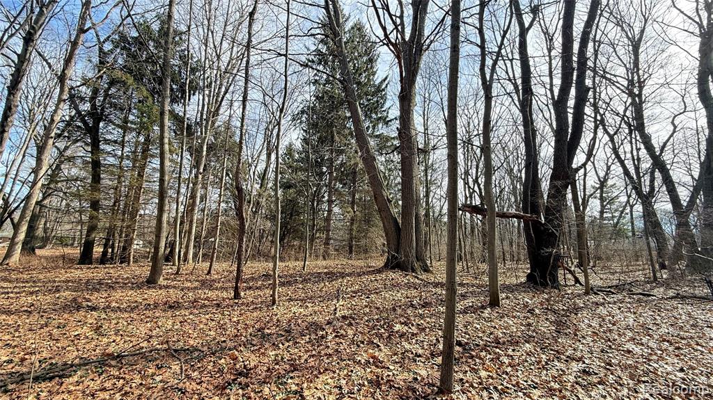 5081 24th Avenue, Fort Gratiot, MI 48059 — Photo 2