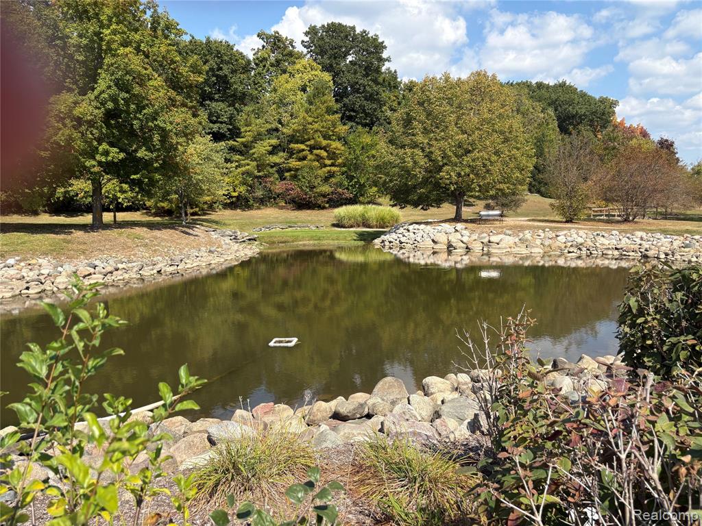 18018 RIDGEVIEW Drive, Northville, MI — Photo 14