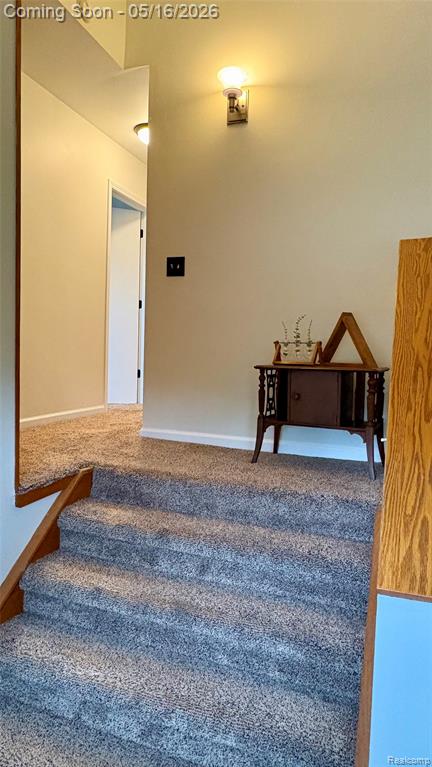 512 Victoria Square Boulevard, Brighton, MI 48116 — Photo 14